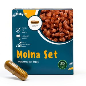 Two Capsule Moina MACROCOPA Water FLEA Eggs Fresh MAHYIM Live Food-0