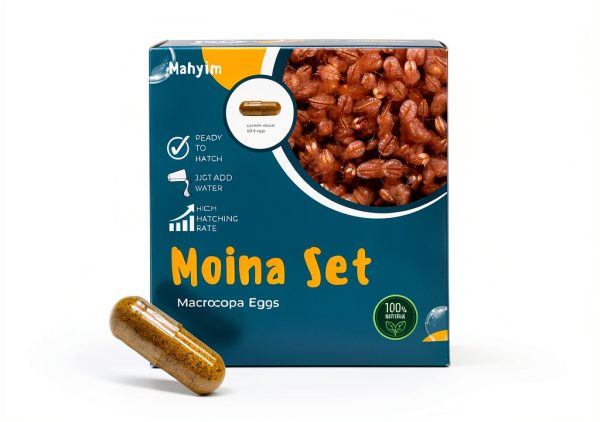 Two Capsule Moina MACROCOPA Water FLEA Eggs Fresh MAHYIM Live Food-0