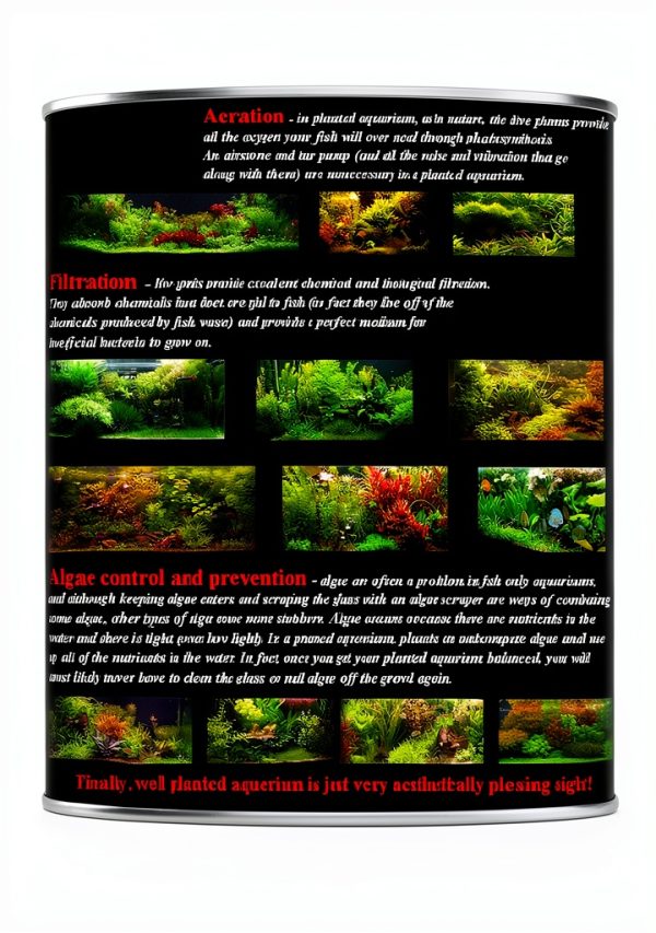 Hornwort Live Aquarium Plant by Aquatic Discounts 5-6in Easy Care-1